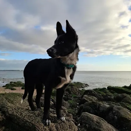 Parentale Entre Parc Et Privat bolig Saint-Nazaire (Loire-Atlantique)